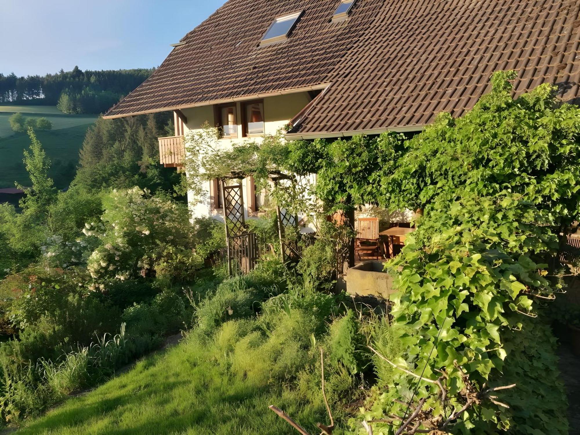 Room In Guest Room - Double Room Apple Blossom Schuttertal Esterno foto