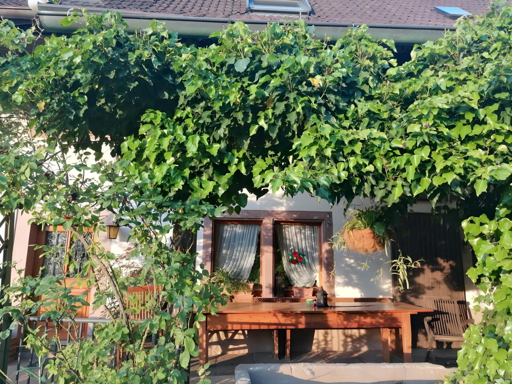 Room In Guest Room - Double Room Apple Blossom Schuttertal Esterno foto